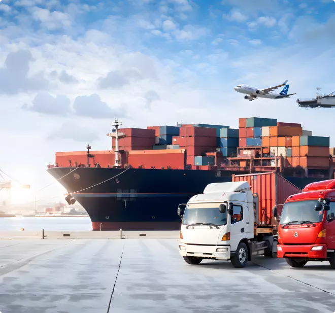 协助安排可靠物流方案，而非强制绑定渠道